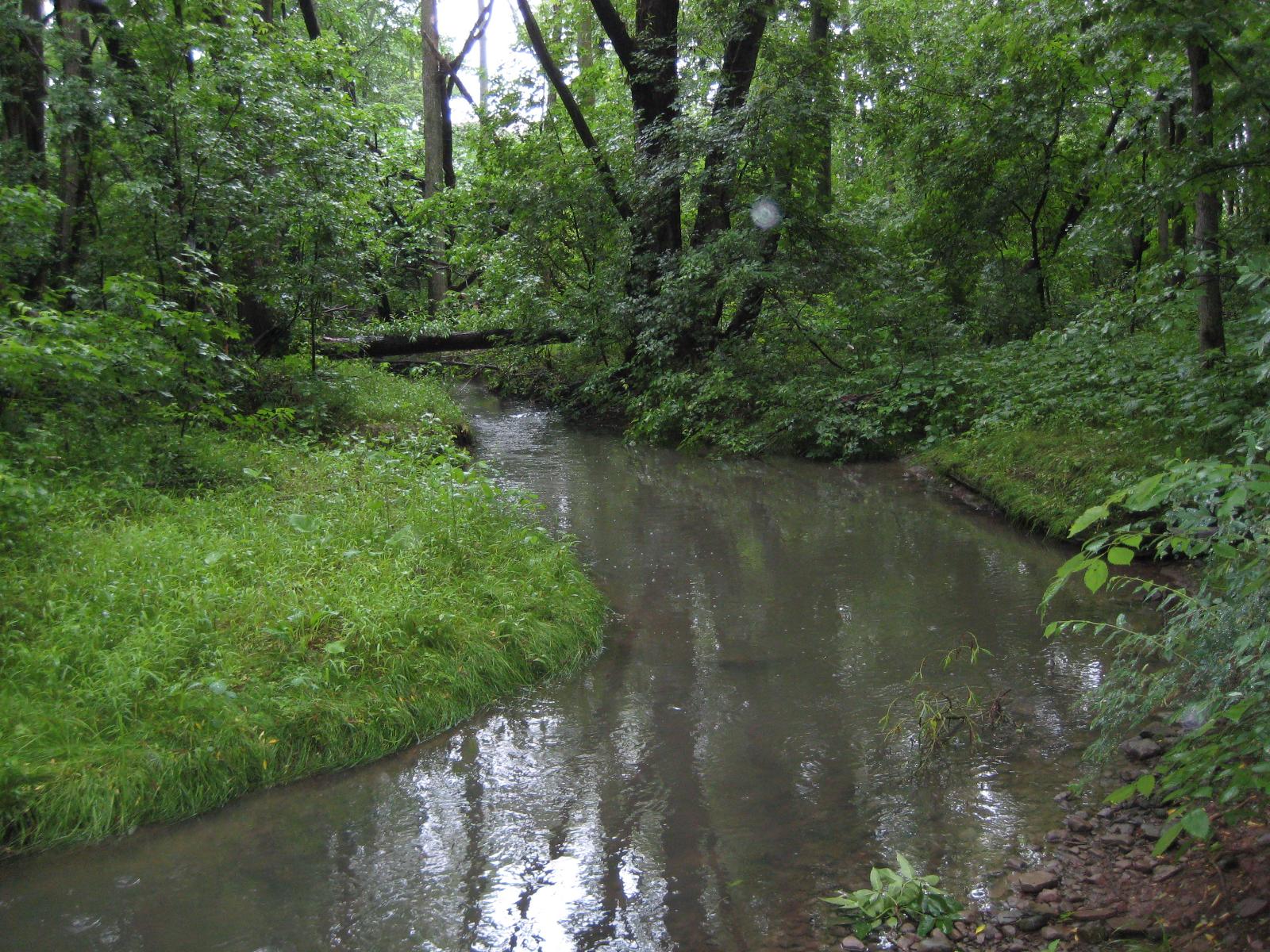 Upper Four Mile Creek Geomorphology Project | GET INVOLVED NPCA