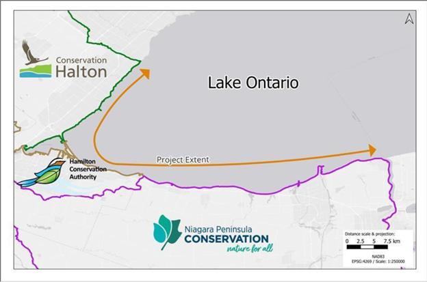 A map showing the extent of the Lake Ontario shoreline that is part of this project, from Niagara to Oakville, with NPCA, HCA, and CH logos