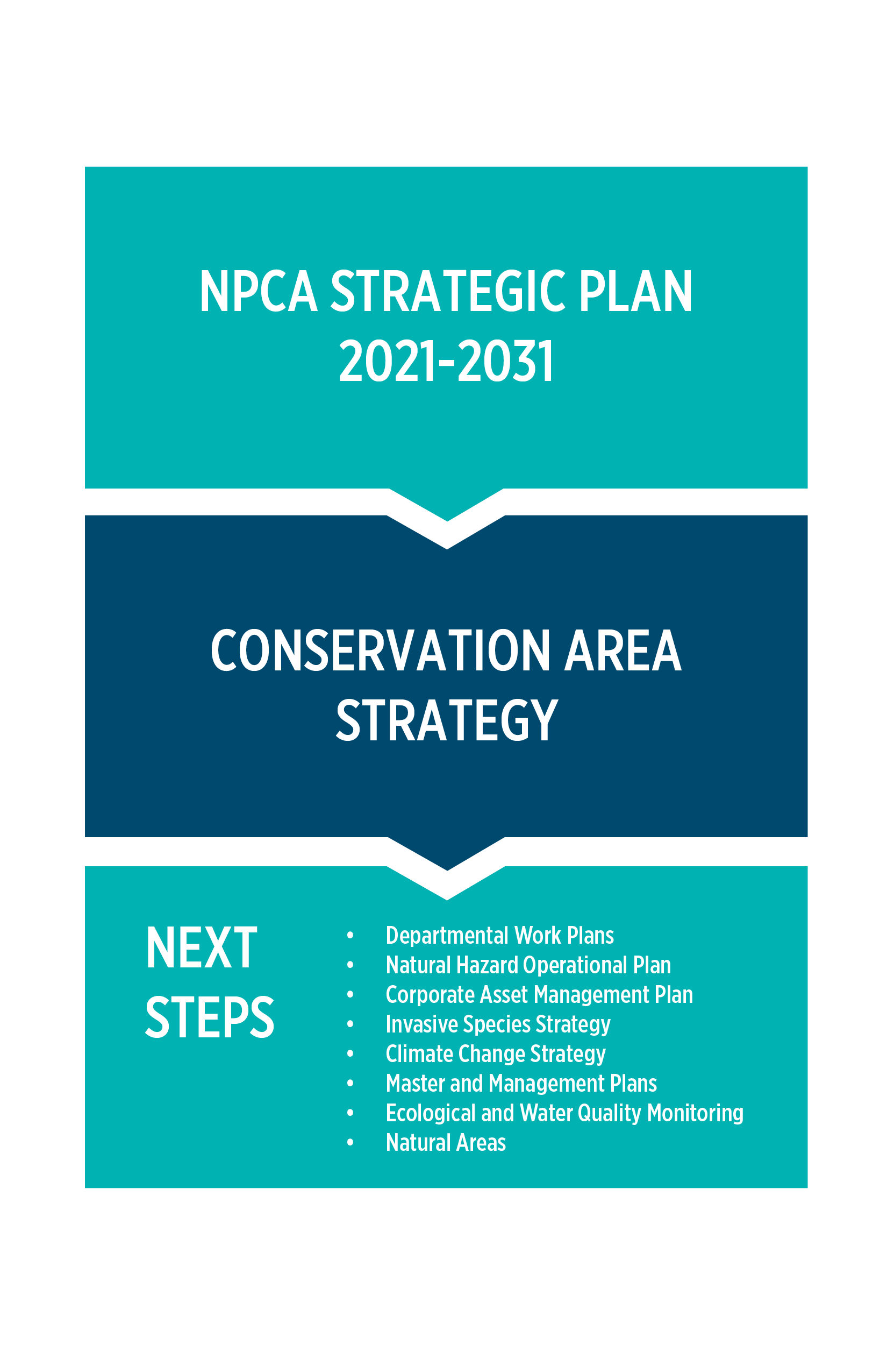 Infographic showing NPCA Strategic Plan 2021–2031 leading to the Conservation Area Strategy, with next steps including departmental work plans, hazard and asset management plans, invasive species and climate change strategies, master and management plans,