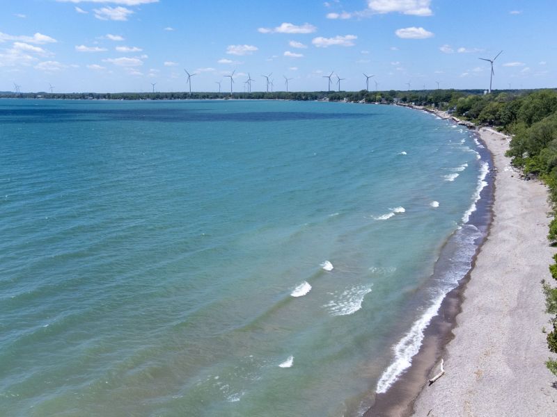 Lake Erie Shoreline- Long Beach Conservation Area