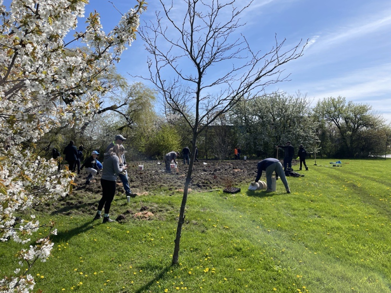 Eastmount Park Drive Community Planting